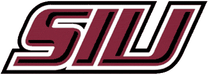 Southern Illinois Salukis 2001-Pres Wordmark Logo v2 diy DTF decal sticker